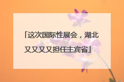 这次国际性展会，湖北又又又又担任主宾省