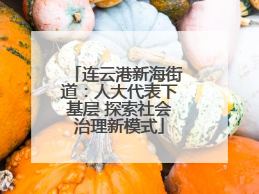 连云港新海街道：人大代表下基层 探索社会治理新模式