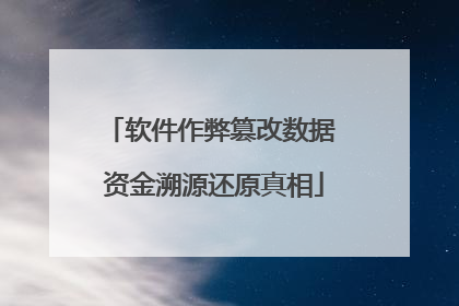 软件作弊篡改数据 资金溯源还原真相