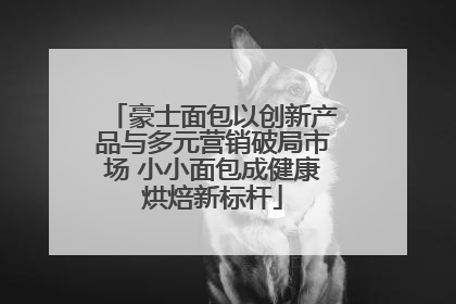 豪士面包以创新产品与多元营销破局市场 小小面包成健康烘焙新标杆
