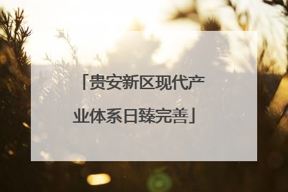 贵安新区现代产业体系日臻完善