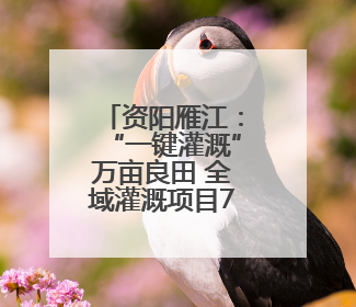资阳雁江：“一键灌溉”万亩良田 全域灌溉项目7月投用