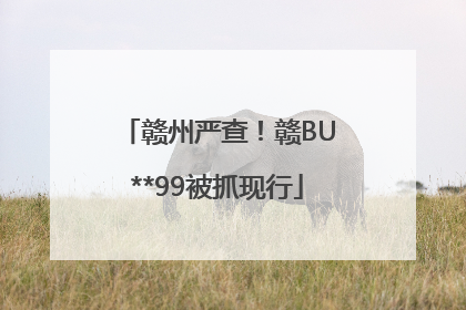 赣州严查！赣BU**99被抓现行