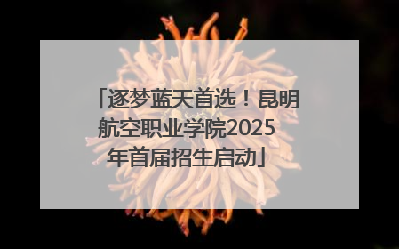 逐梦蓝天首选！昆明航空职业学院2025年首届招生启动