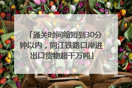 通关时间缩短到30分钟以内，同江铁路口岸进出口货物超千万吨