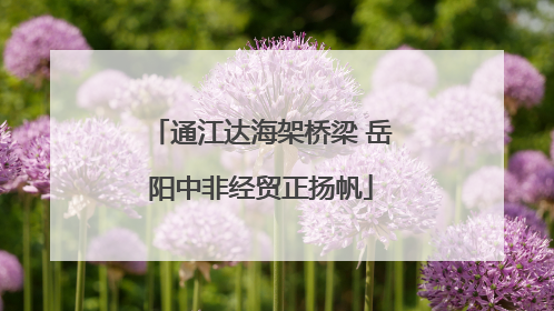 通江达海架桥梁 岳阳中非经贸正扬帆