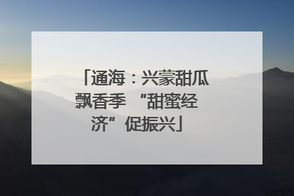 通海：兴蒙甜瓜飘香季 “甜蜜经济”促振兴