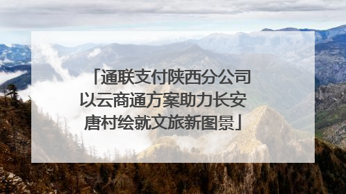 通联支付陕西分公司以云商通方案助力长安唐村绘就文旅新图景