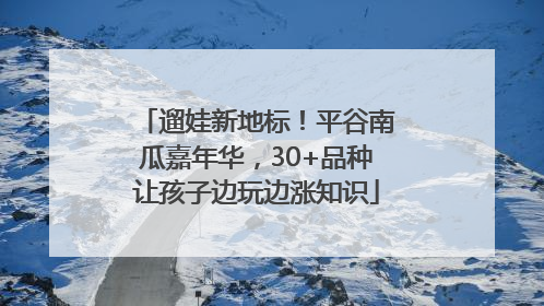 遛娃新地标！平谷南瓜嘉年华，30+品种让孩子边玩边涨知识