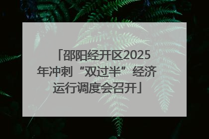 邵阳经开区2025年冲刺“双过半”经济运行调度会召开