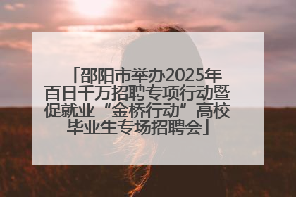 邵阳市举办2025年百日千万招聘专项行动暨促就业“金桥行动”高校毕业生专场招聘会