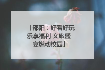 邵阳：好看好玩乐享福利 文旅盛宴燃动校园