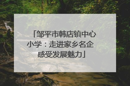 邹平市韩店镇中心小学：走进家乡名企 感受发展魅力
