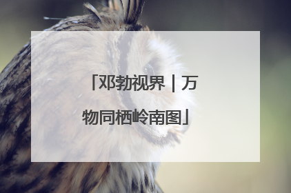 邓勃视界｜万物同栖岭南图