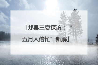 郏县三夏探访：“五月人倍忙”新解