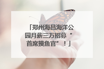 郑州海昌海洋公园月薪三万招募“首席摸鱼官”！
