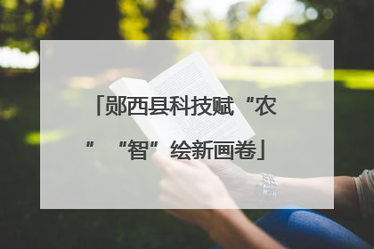 郧西县科技赋“农”“智”绘新画卷