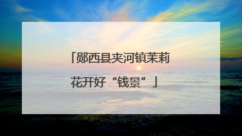郧西县夹河镇茉莉花开好“钱景”