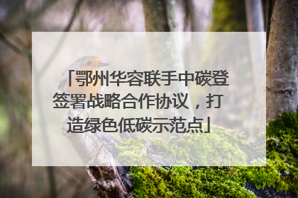 鄂州华容联手中碳登签署战略合作协议，打造绿色低碳示范点