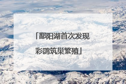 鄱阳湖首次发现彩鹮筑巢繁殖