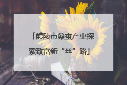 醴陵市桑蚕产业探索致富新“丝”路