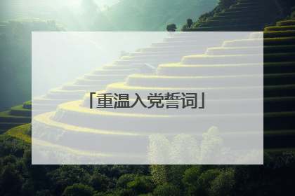 重温入党誓词