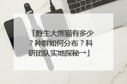 野生大熊猫有多少？种群如何分布？科研团队实地探秘→