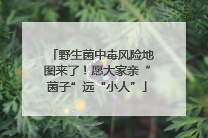 野生菌中毒风险地图来了！愿大家亲“菌子”远“小人”