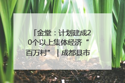 金堂：计划建成20个以上集体经济“百万村”｜成都县市新城高质量发展