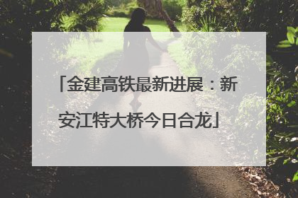金建高铁最新进展：新安江特大桥今日合龙