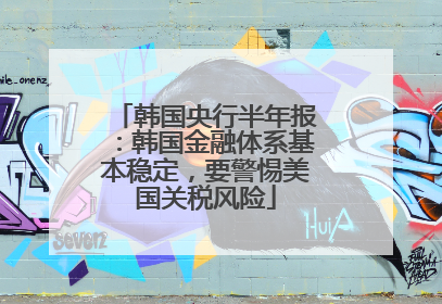 韩国央行半年报：韩国金融体系基本稳定，要警惕美国关税风险