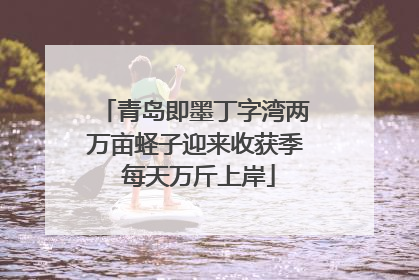 青岛即墨丁字湾两万亩蛏子迎来收获季 每天万斤上岸