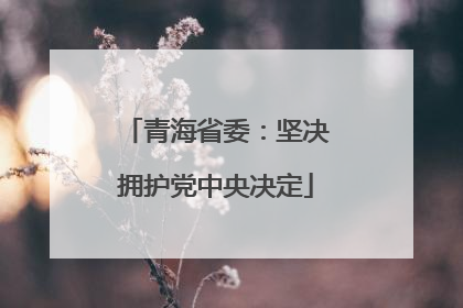 青海省委：坚决拥护党中央决定