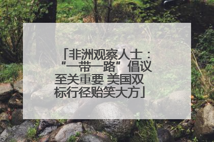 非洲观察人士：“一带一路”倡议至关重要 美国双标行径贻笑大方