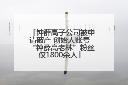 钟薛高子公司被申请破产 创始人账号“钟薛高老林”粉丝仅1800余人