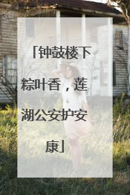 钟鼓楼下粽叶香，莲湖公安护安康