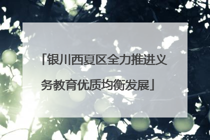 银川西夏区全力推进义务教育优质均衡发展