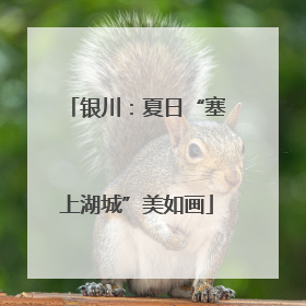 银川：夏日“塞上湖城”美如画
