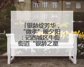 银龄绽芳华，“微孝”暖夕阳：记西城区牛街街道“银龄之星”刘茹月
