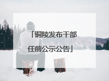 铜陵发布干部任前公示公告