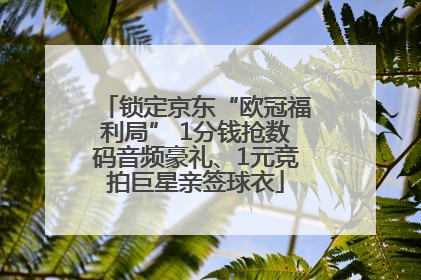 锁定京东“欧冠福利局” 1分钱抢数码音频豪礼、1元竞拍巨星亲签球衣