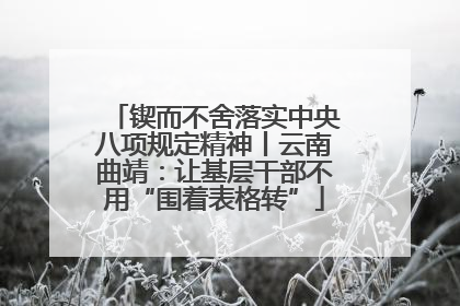 锲而不舍落实中央八项规定精神丨云南曲靖：让基层干部不用“围着表格转”