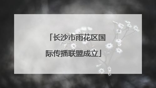 长沙市雨花区国际传播联盟成立
