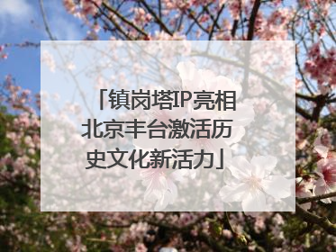 镇岗塔IP亮相 北京丰台激活历史文化新活力