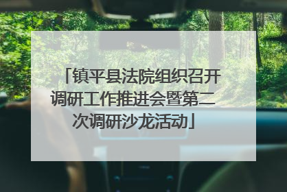 镇平县法院组织召开调研工作推进会暨第二次调研沙龙活动