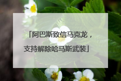 阿巴斯致信马克龙,支持解除哈马斯武装
