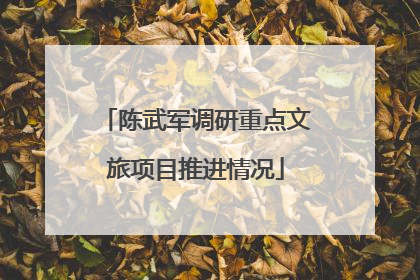 陈武军调研重点文旅项目推进情况