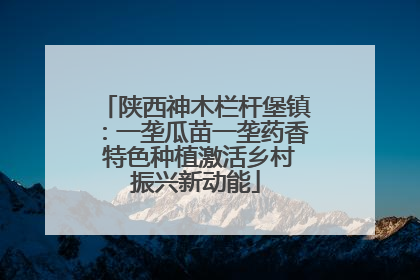 陕西神木栏杆堡镇：一垄瓜苗一垄药香 特色种植激活乡村振兴新动能