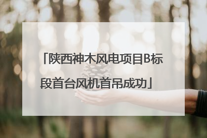 陕西神木风电项目B标段首台风机首吊成功