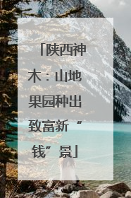 陕西神木：山地果园种出致富新“钱”景